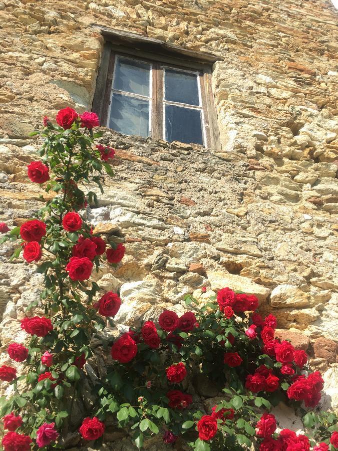 B&B Ca De Badin Ноли Экстерьер фото